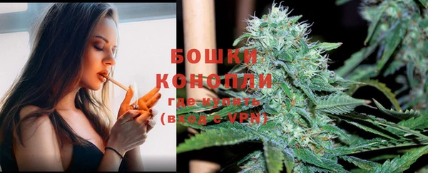 герыч Сосновый Бор