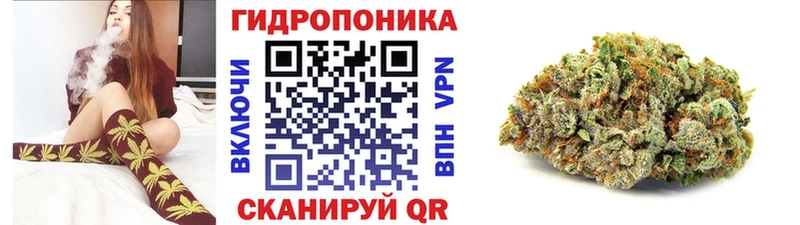 наркотики  Новый Оскол  Конопля THC 21% 